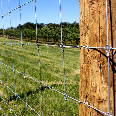 Caldo fisso ad alta resistenza di Grassland Deer Farm del recinto del nodo immerso galvanizzato