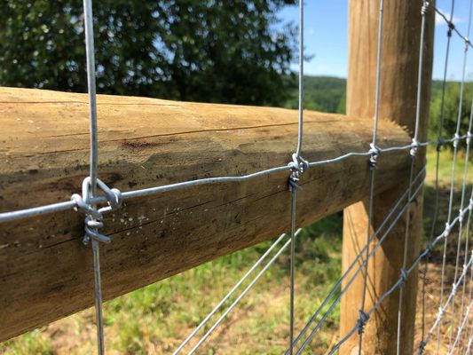 Il bestiame fisso del giunto di cerniera del recinto 1.2m del nodo dei cervi fissa Mesh Field Fence